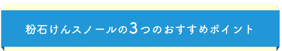 粉石けんスノール粉 10kg 2 5kg 4 商品詳細 シャボン玉石けん ショッピングサイト シャボン玉石けん ショッピングサイト