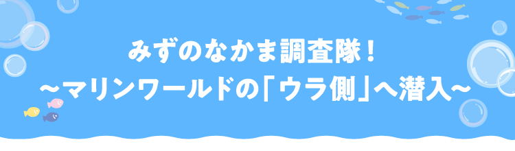 みずのなかま調査隊！〜マリンワールドの「ウラ側」へ潜入〜