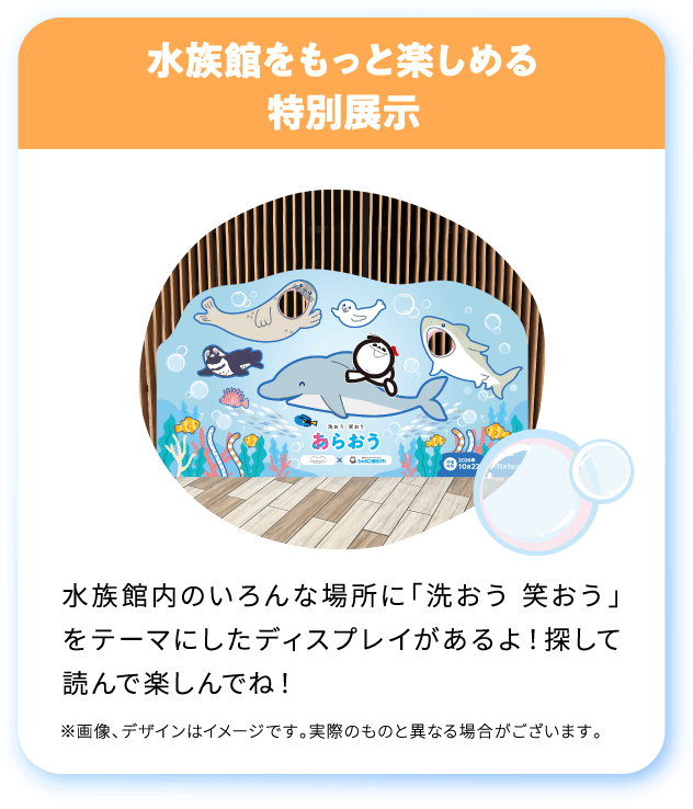 水族館をもっと楽しめる
特別展示
