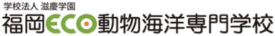 福岡ECO動物海洋専門学校