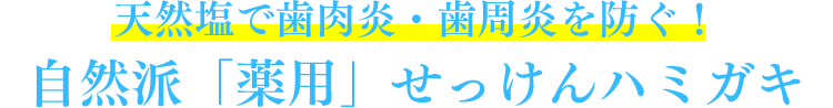 天然塩で歯肉炎・歯周炎を防ぐ！自然派「薬用」せっけんハミガキ